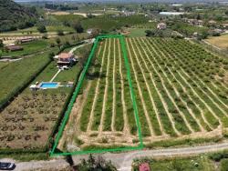 Ortaca Dalyan Mah. Satılık Tarla - Tarla İmar Durumlu - 5.100 m²