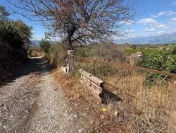Ortaca Dalyan Mah. Satılık Tarla - Tarla İmar Durumlu - 5.000 m²