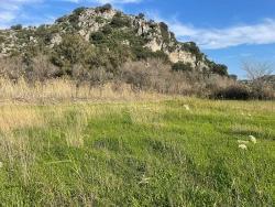 Ortaca Dalyan Mah. Satılık Arsa - Konut İmar Durumlu - 6.800 m²