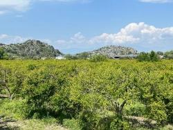 Ortaca Dalyan Mah. Satılık Arsa - Konut İmar Durumlu - 5.100 m²