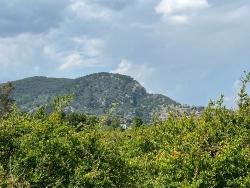 Ortaca Dalyan Mah. Satılık Arsa - Konut İmar Durumlu - 5.100 m²