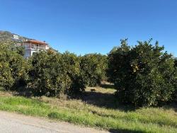 Ortaca Ekşiliyurt Mah. Satılık Arsa - Konut İmar Durumlu - 1.085 m²