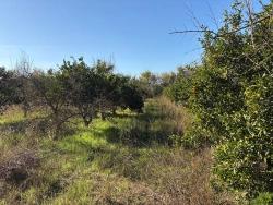 Ortaca Dalyan Mah. Satılık Tarla - Tarla İmar Durumlu - 4.541 m²