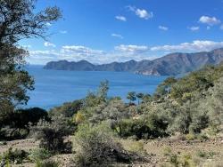 Köyceğiz Çandır Mah. Satılık Tarla - Tarla İmar Durumlu - 20.000 m²