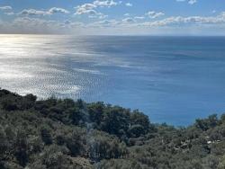 Köyceğiz Çandır Mah. Satılık Tarla - Tarla İmar Durumlu - 20.000 m²