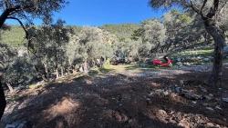 Köyceğiz Çandır Mah. Satılık Tarla - Konut İmar Durumlu - 5.715 m²