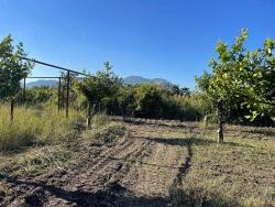 Ortaca Dalyan Mah. Satılık Tarla - Tarla İmar Durumlu - 6.600 m²