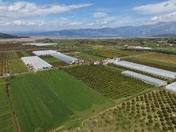 Ortaca Eskiköy Mah. Satılık Tarla - Tarla İmar Durumlu - 16.000 m²