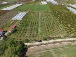 Ortaca Eskiköy Mah. Satılık Tarla - Tarla İmar Durumlu - 16.000 m²