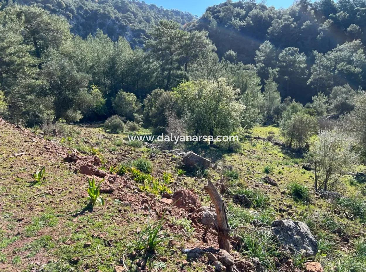 Gökbel'de Doğa Ve Orman İçerisinde Satılık Tarla