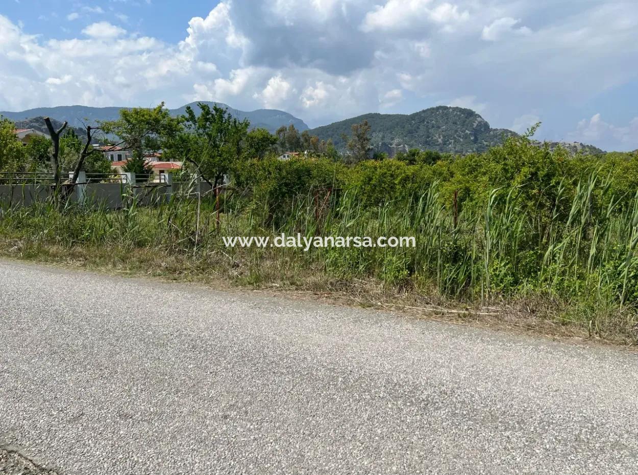 Dalyan Maraş Mevkiinden 5,100M2 %5 Konut İmarlı Satılık Arsa