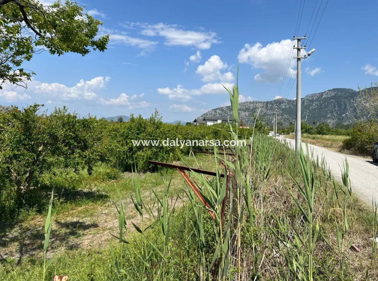 Dalyan Maraş Mevkiinden 5,100M2 %5 Konut İmarlı Satılık Arsa