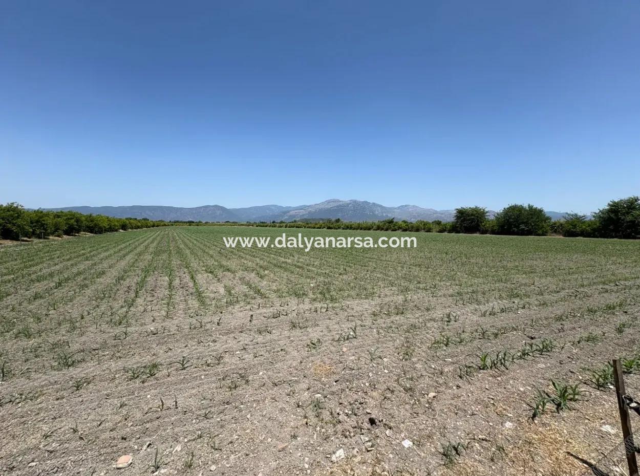 Tepearası'nda 46,550M2 Satılık Tarla