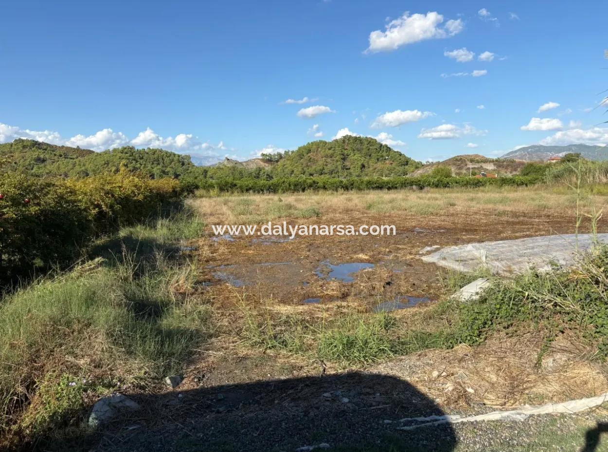 Ortaca Yeşilyurt'ta 3900M2 Satılık Arsa