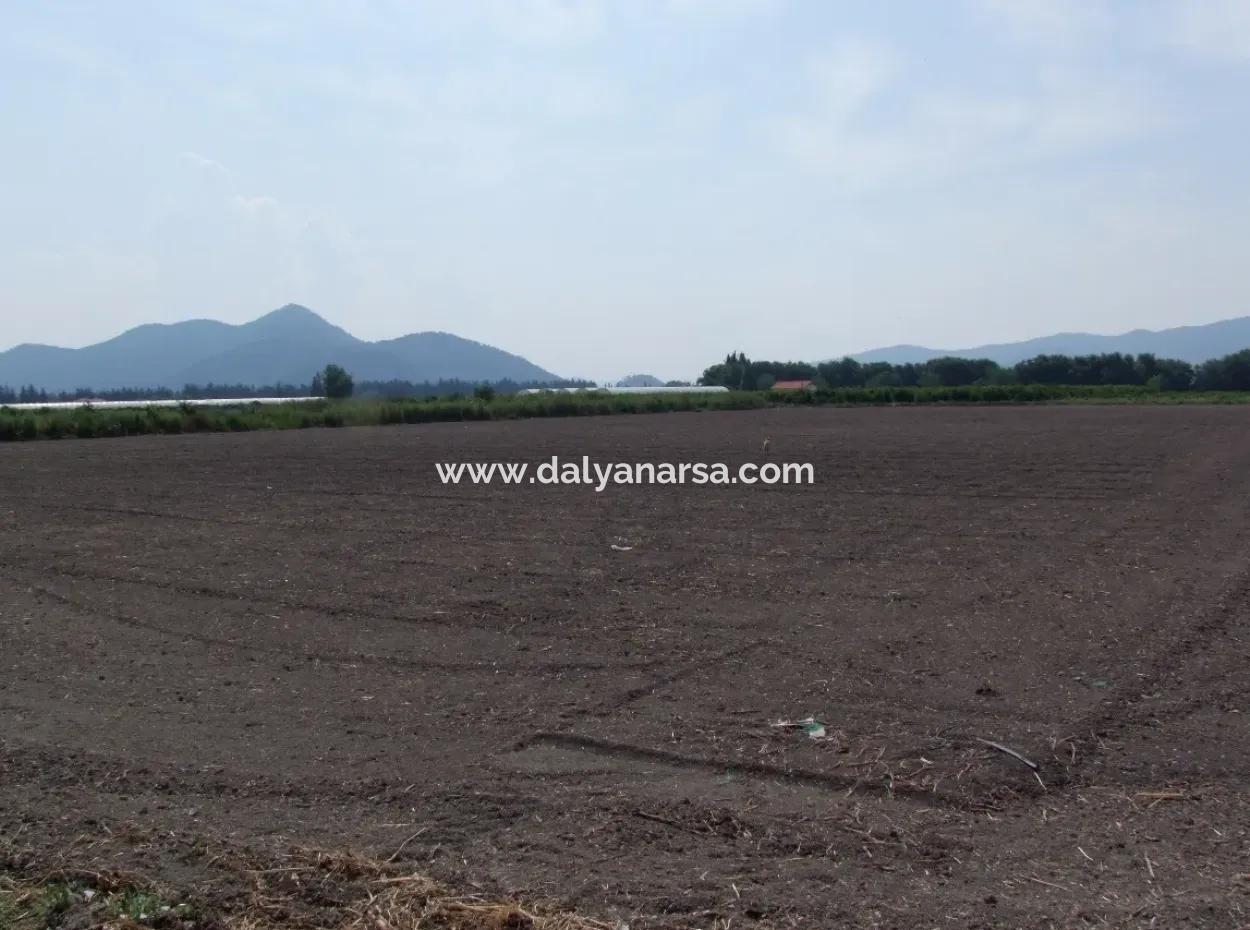 Eskiköyde Satılık Arsa Tarla Ortaca Dalyan Eskiköyde 15,760M2 Satlık Arsa Tarla