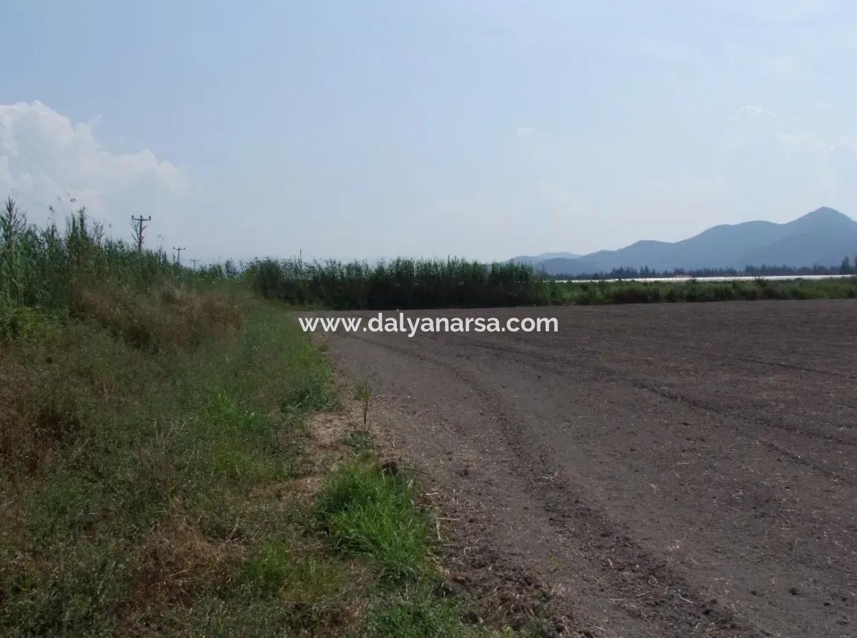 Eskiköyde Satılık Arsa Tarla Ortaca Dalyan Eskiköyde 15,760M2 Satlık Arsa Tarla