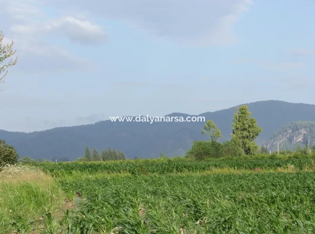 Dalyan Satılık Tarla Dalyan Merkeze Yakın 14,612M2 Satılık Tarla