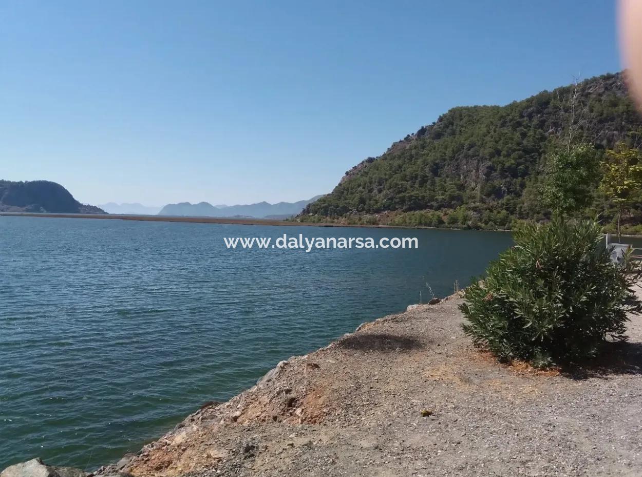 Gökbelde Satılık Arsa Dalyan İztuzu Yoluna Sıfır 7484M2 Göle Sıfır Satılık Arsa