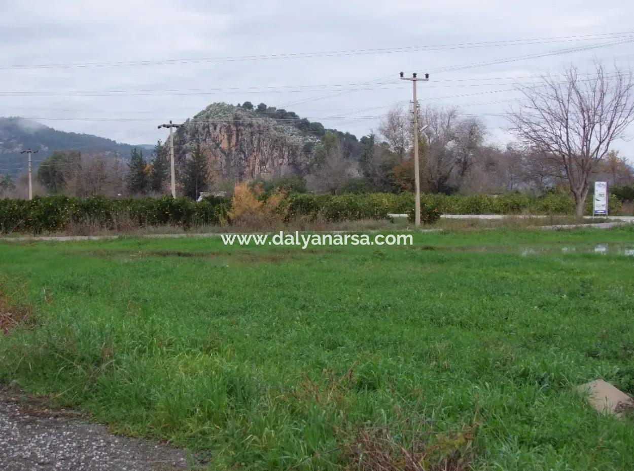 Dalyan Gülpınar Satılık Arsa Dalyan 1,002M2 Satılık Köşenası Satılık Arsa
