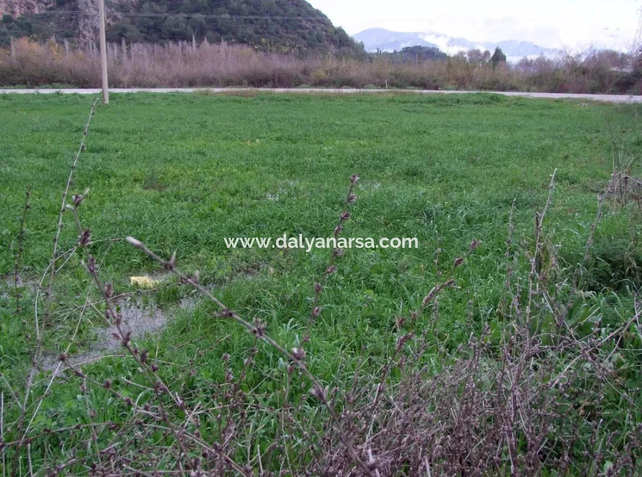 Dalyan Gülpınar Satılık Arsa Dalyan 1,002M2 Satılık Köşenası Satılık Arsa
