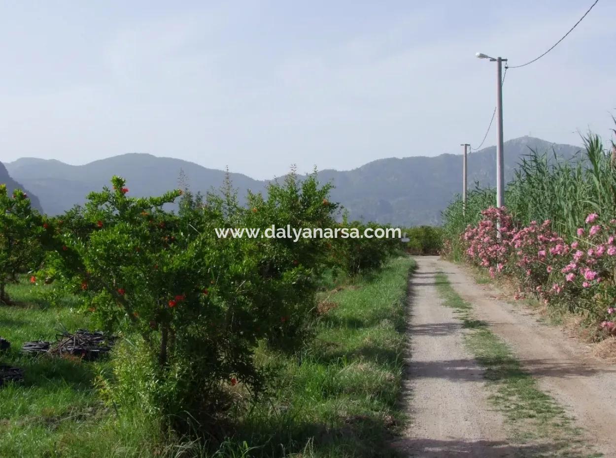 Dalyan İztuzu Satılık Bahçe Dalyan Göle Sıfır Satılık Arsa