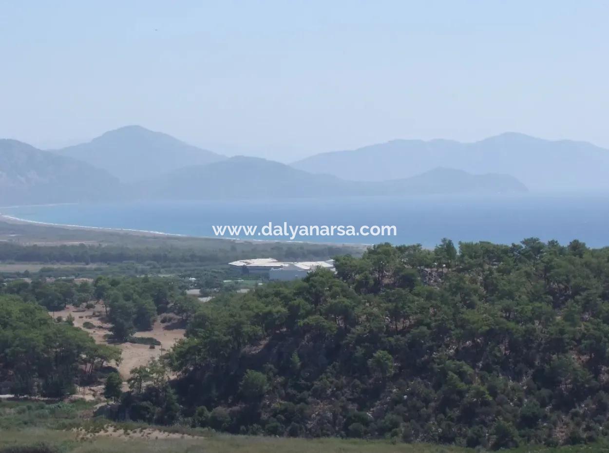 Sarıgerme Satılık Arsa Full Deniz Manzaralı Satılık Arsa