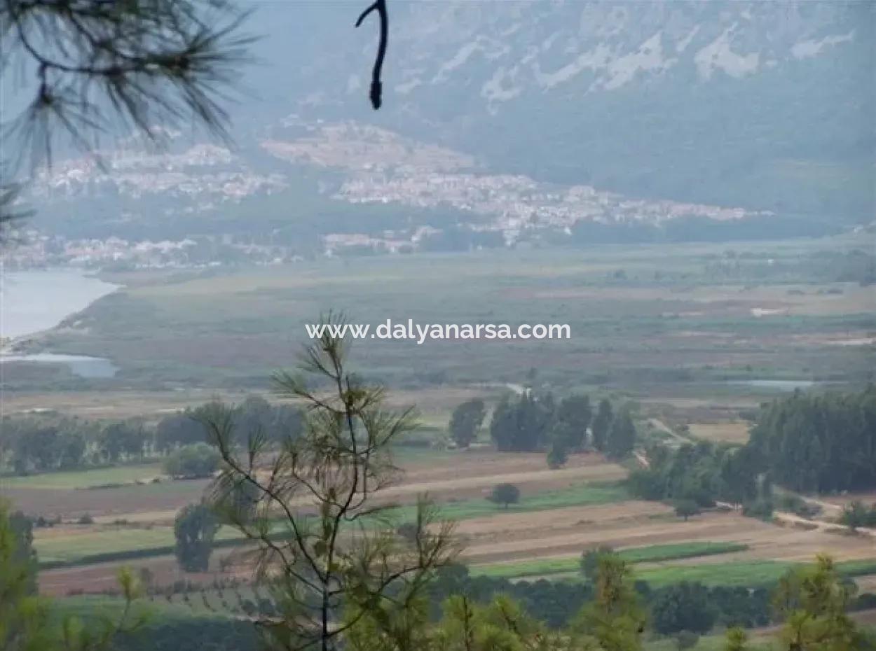 Gökçe Satılık Arsa Gökçe 21671M2 Satılık Tarla