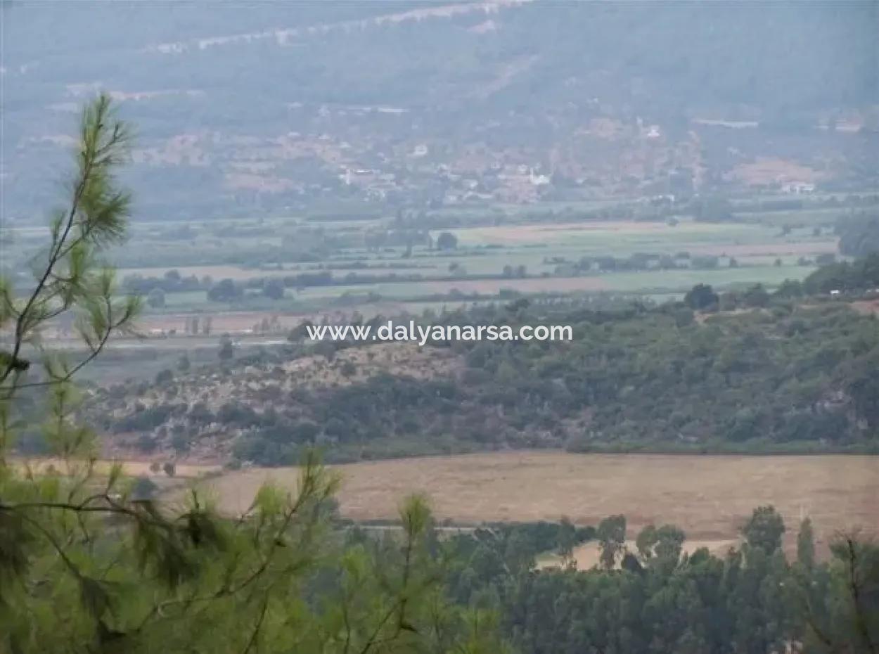 Gökçe Satılık Arsa Gökçe 21671M2 Satılık Tarla