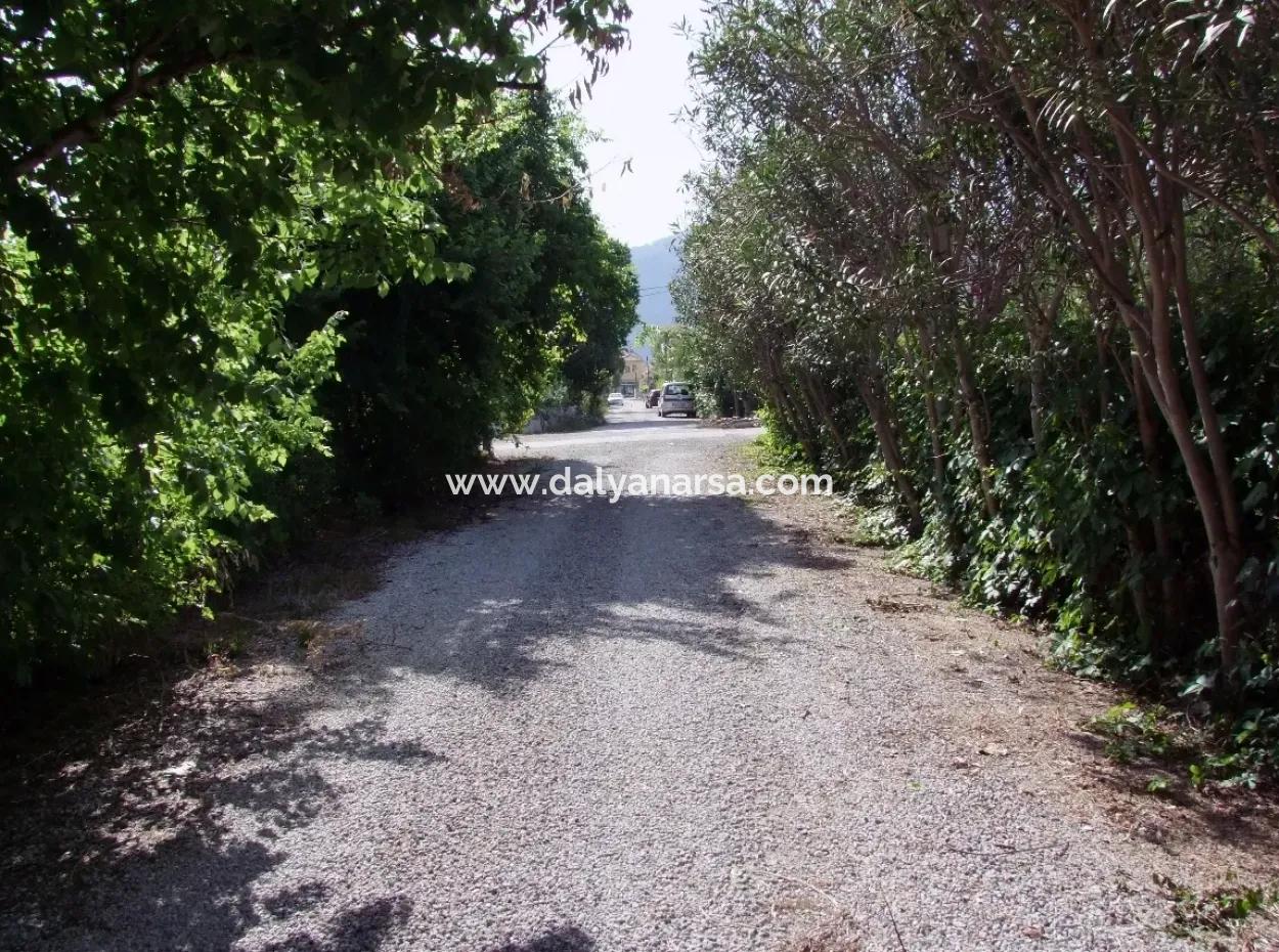 Dalyan Gülpınar Satılık Arsa Dalyan Köşebaşında 1500M2 %20+40 İmarlı Satılık Arsa