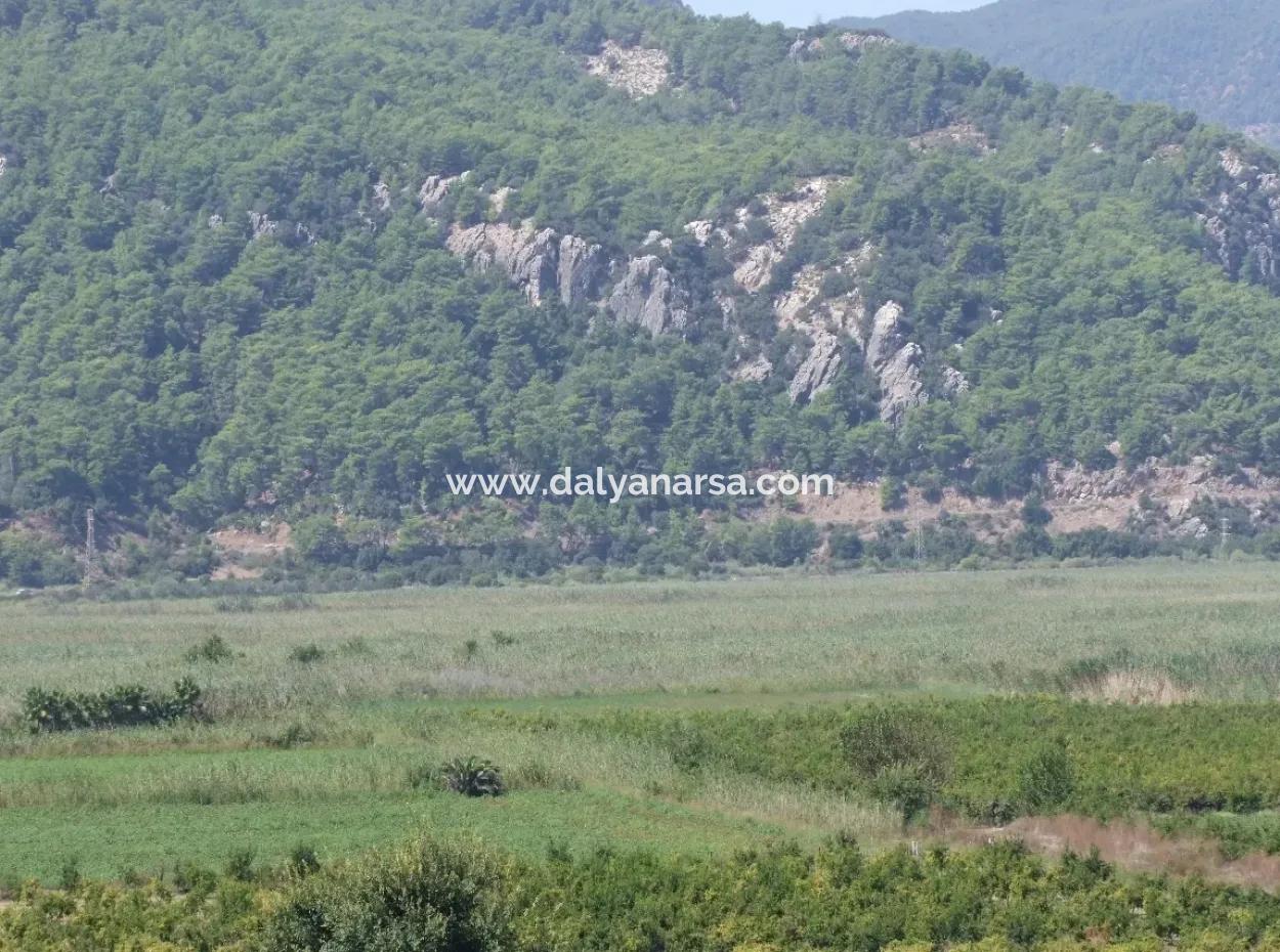 Dalyan Satılık Tarla Dalyan 73410M2 Satılık Tarla