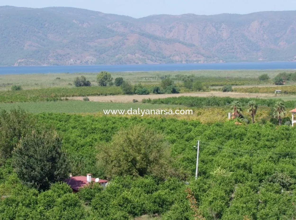 Dalyan Satılık Tarla Dalyan 73410M2 Satılık Tarla