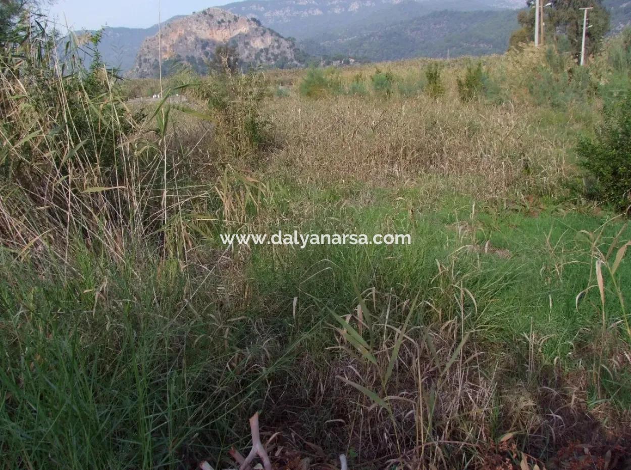 Dalyan Satılık Arsa Dalyan Kanala Sıfır Satılık Arsa