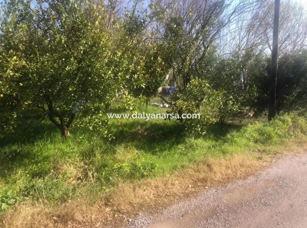 Akıncıda Satılık Arsa 803M2  İmarlı  Satılık Arsa