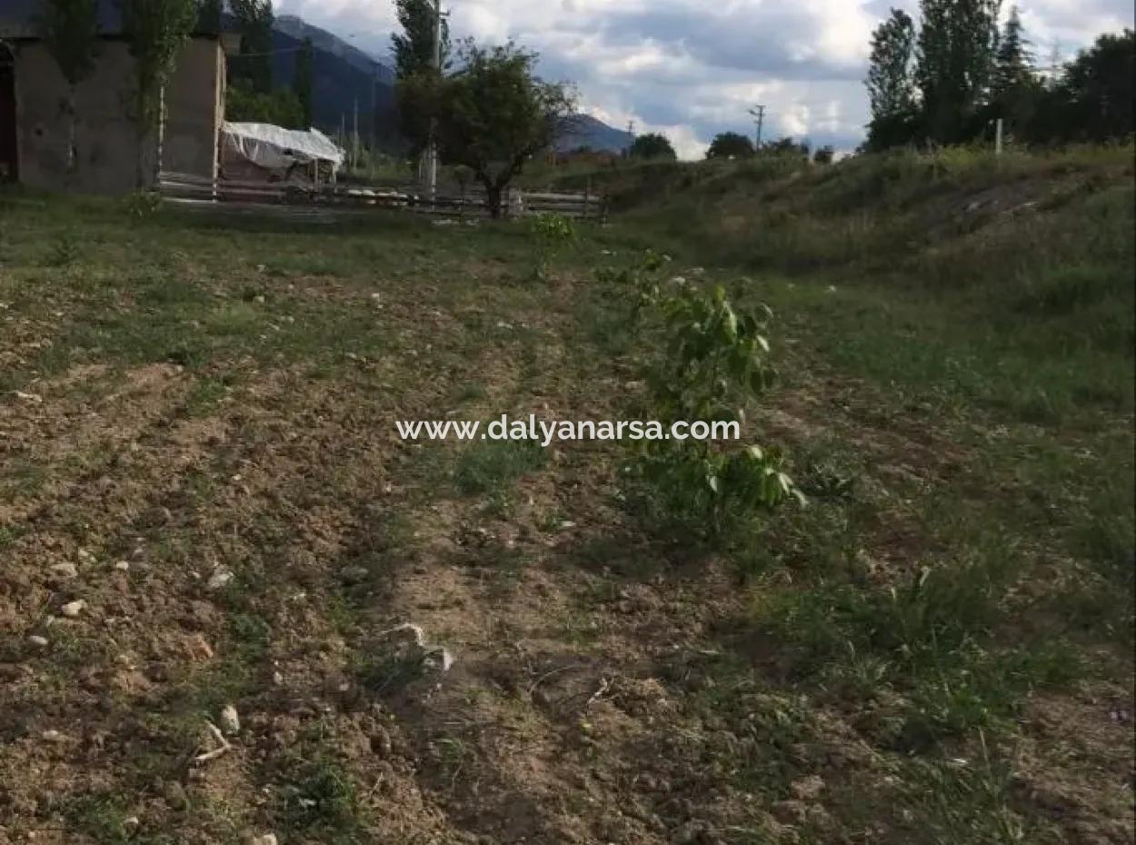 Çameli Satılık Arsa Bıcakcı Yoluna Sıfır Satılık 1562M2 Arsa