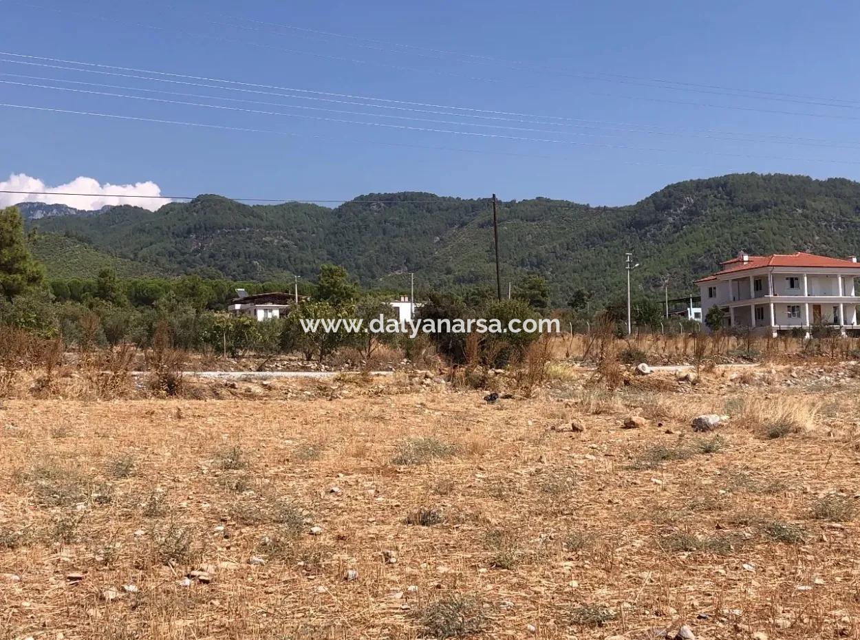 Köyceğiz Zeytinalanı'nda Göl Manzaralı 11.227M2 Satılık Arsa