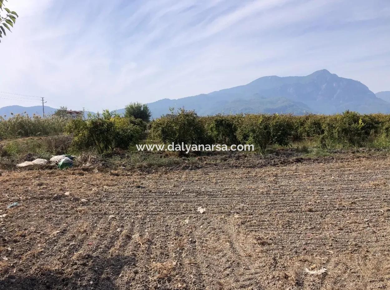 Esköyde Satılık Tarla Arsa 8500M2 Satılık Tarla Arsa