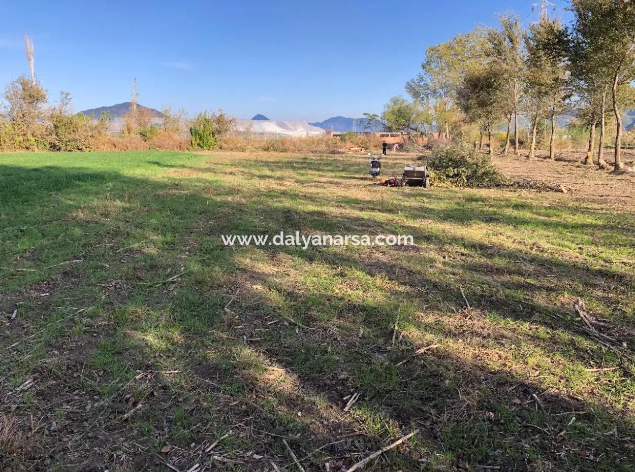 Dalyan'da 2540M2 Satılık Arsa