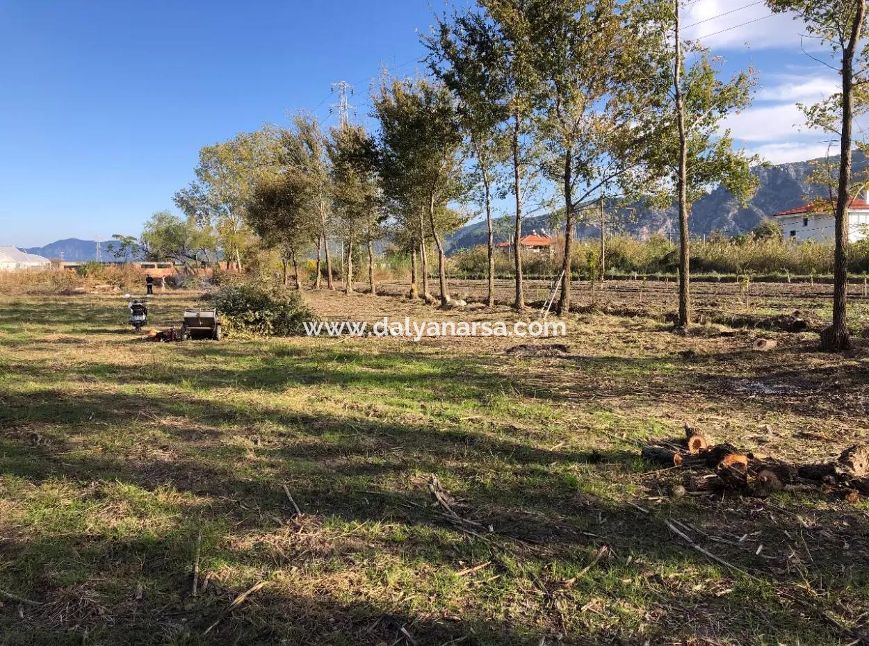 Dalyan'da 2540M2 Satılık Arsa
