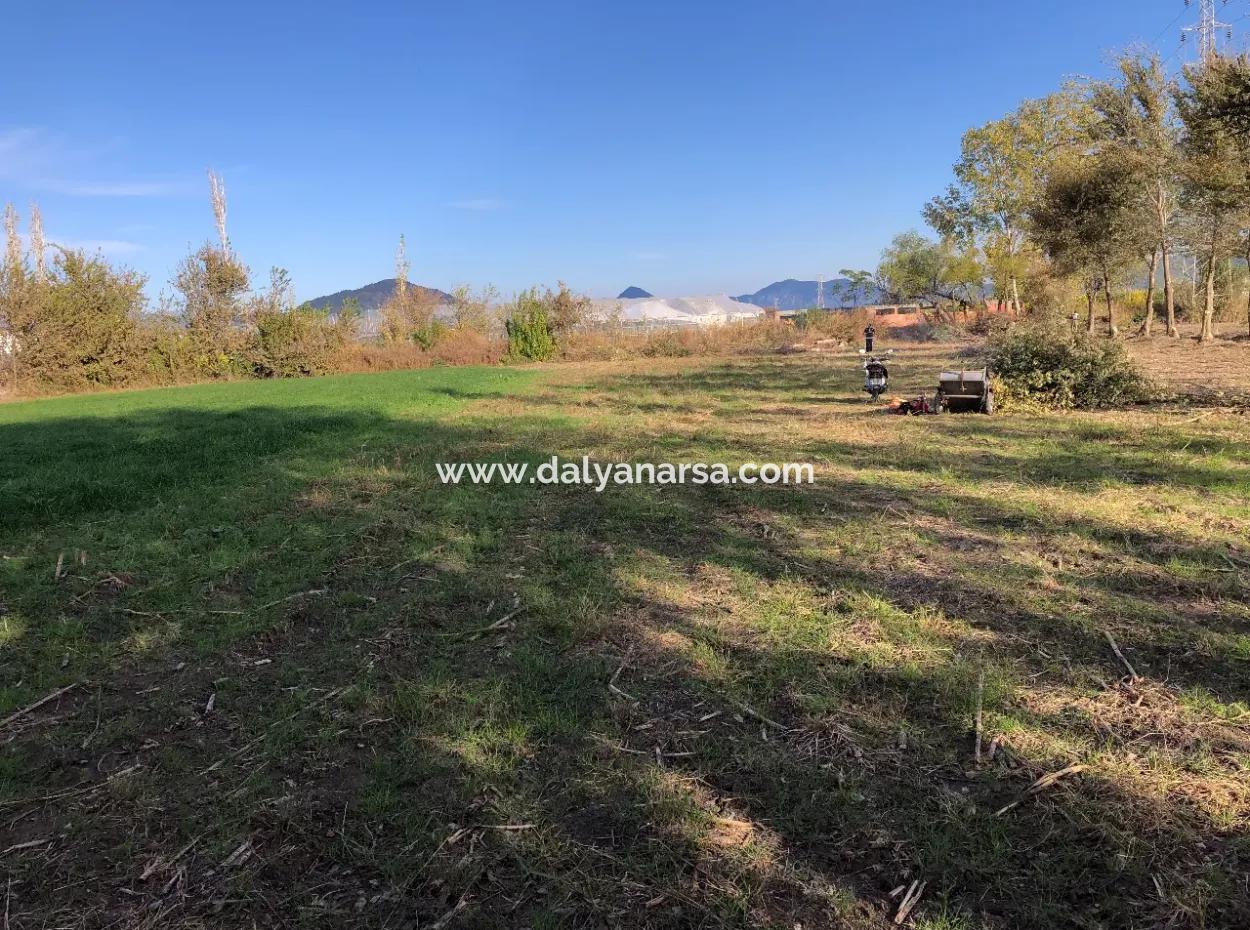 Dalyan'da 2540M2 Satılık Arsa