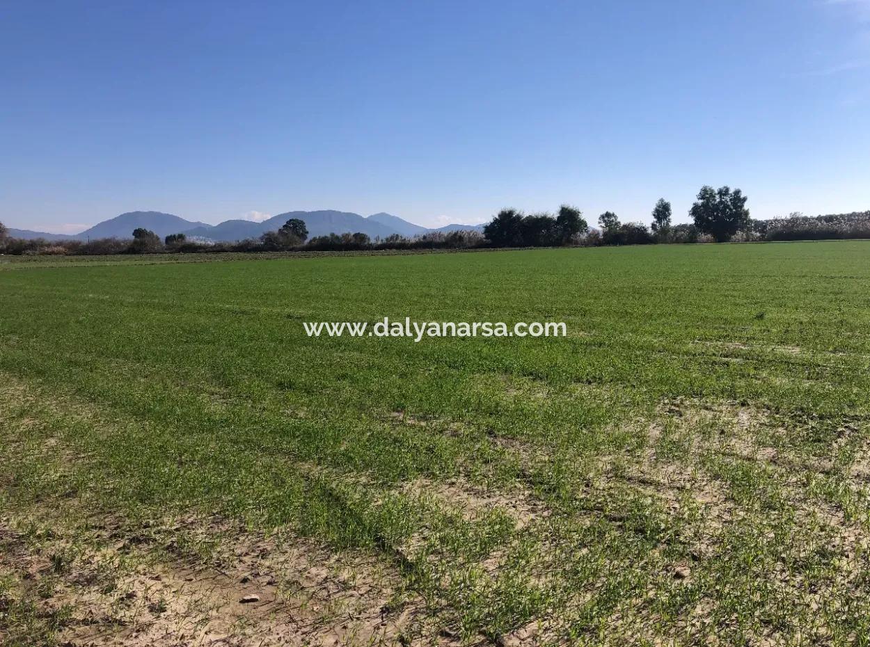 Sarıgermede Satılık Arsa Deniz Manzaralı 30,000M2 Satılık Arsa