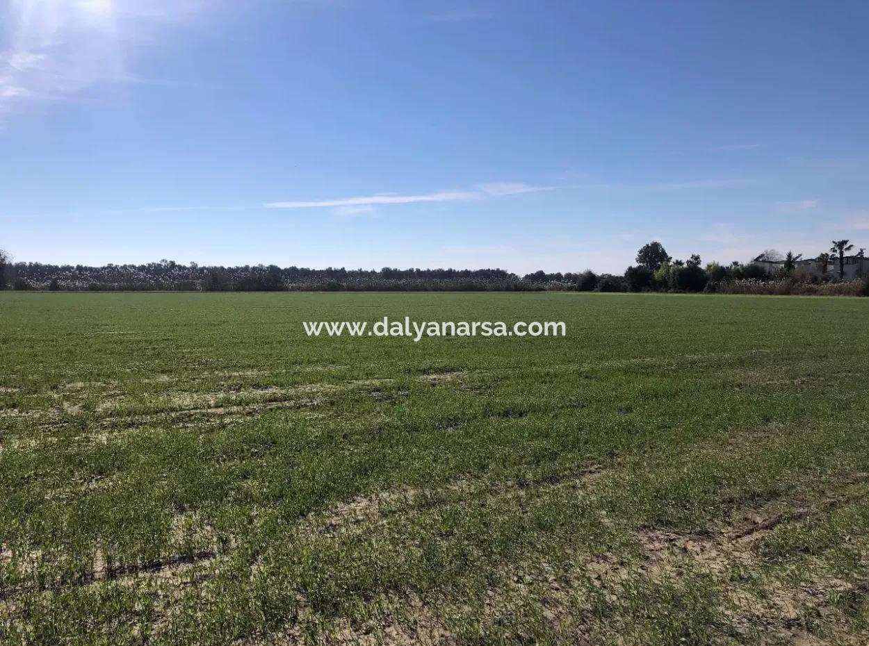 Sarıgermede Satılık Arsa Deniz Manzaralı 30,000M2 Satılık Arsa