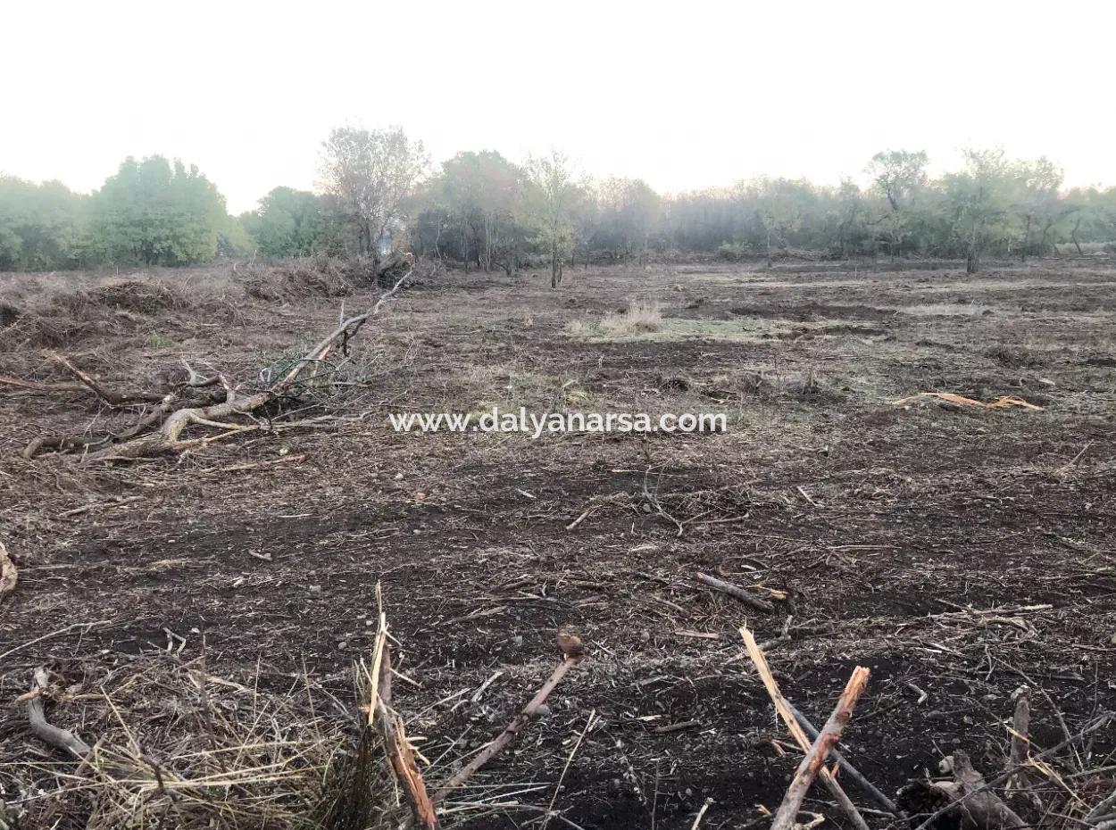 Sultaniye Satılık Arsa 10577M2 Göle Yakın Satılık Arsa