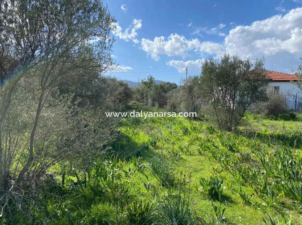 Ortaca Cumhuriyet Mahallesinde 401M2 Satılık Arsa