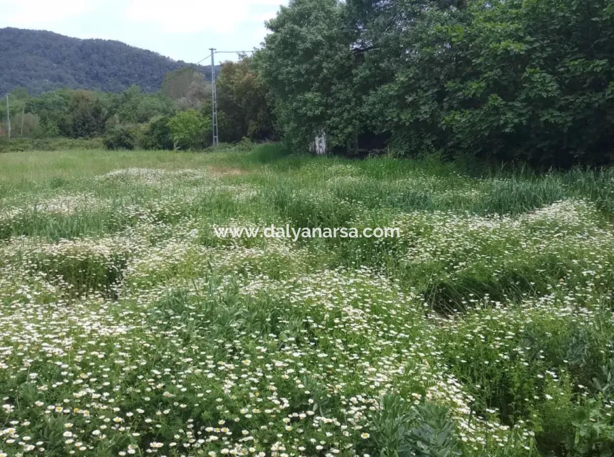 Çamlida  Satılık Arsa 11516M2 Satlık Bahçe