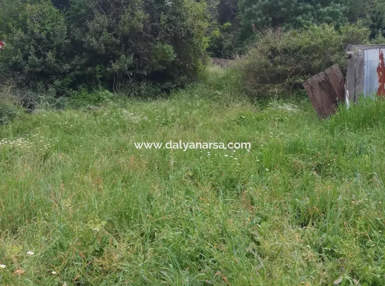 Çamlida  Satılık Arsa 11516M2 Satlık Bahçe