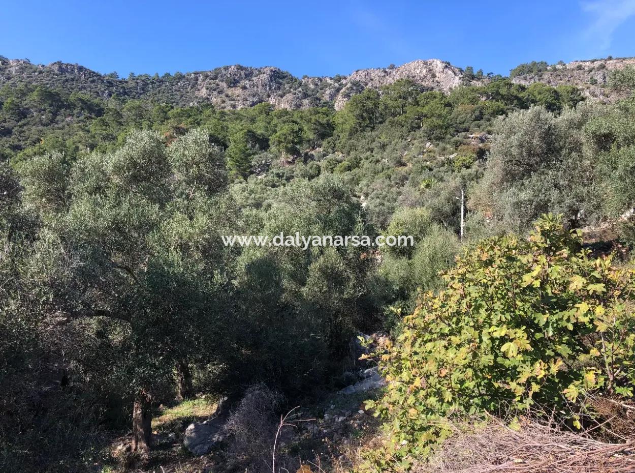 Fevziye Deniz Manzaralı Satılık Arsa