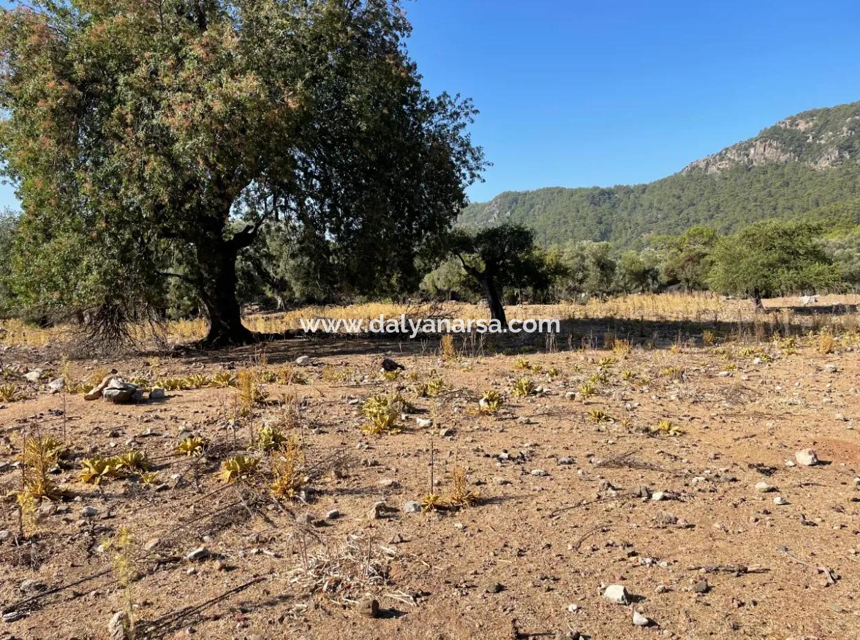 Çandır Deniz Manzaralı 2620M2 Satılık Arazi Tarla