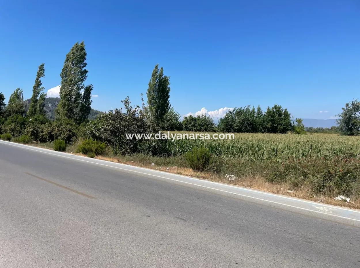 Dalyan Ana Yola Sıfır Satılık 8115M2 Ticari Satılık Arsa