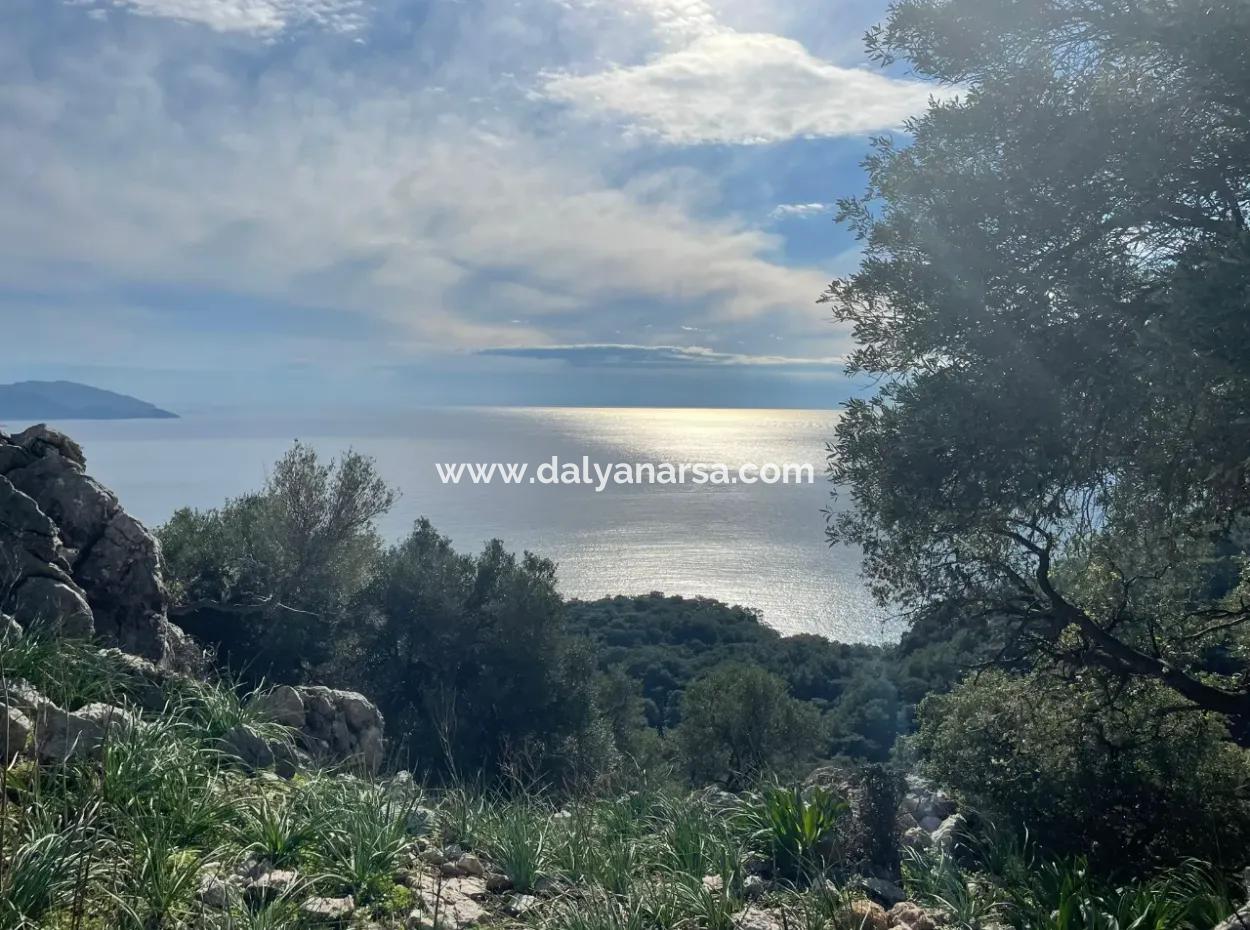 Ekincik'de Full Deniz Manzaralı Satılık 8,900M2 Tarla