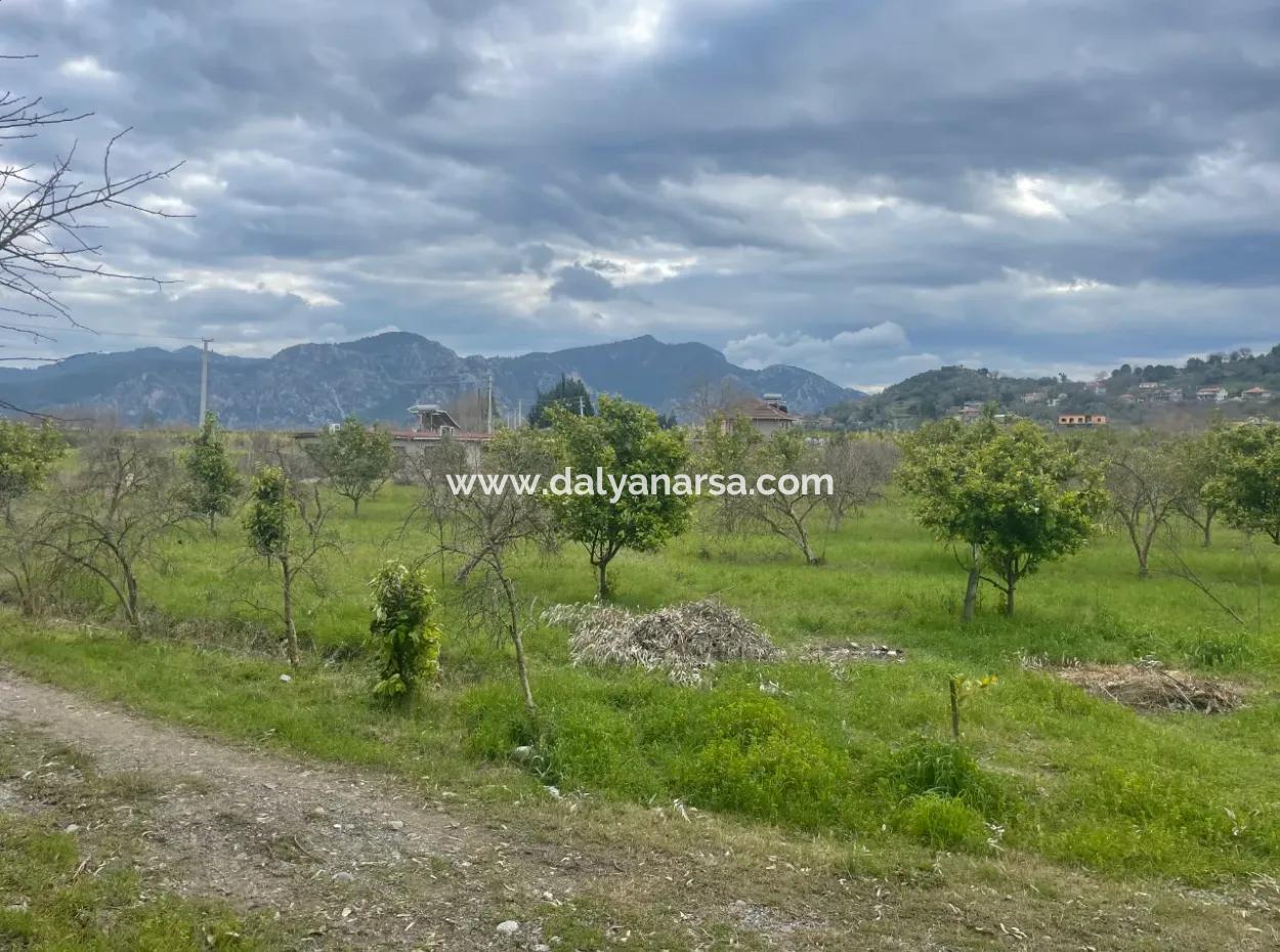 Dalyan Satılık Butik Otel 11.000M2 Arsa İçinde Satılık Bungolevler